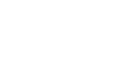 Borealis Wool Co.